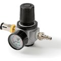 Gvs-Rpb RPB Safety RZ GX4 External Flow Regulator 08-470-RZ